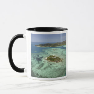 Wadigi Island, Mamanuca-Inseln, Fidschi Tasse
