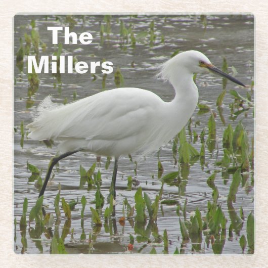Wading Bird Foto Family Name White Egret Glasuntersetzer (Vorderseite)