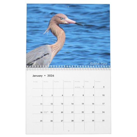 Wading Birds Calendar Kalender (Jan 2026)