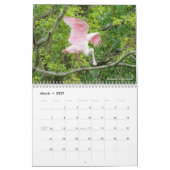 Wading Birds Calendar Kalender (Mär 2027)