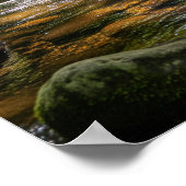 Wading in the Creek Poster (Ecke)