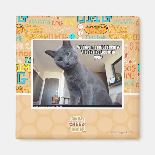 Wadya gemein 'Hilfe holen'? Magnet (Vorne)