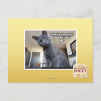 Wadya gemein 'Hilfe holen'?