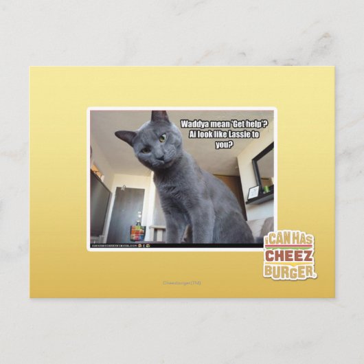 Wadya gemein 'Hilfe holen'? Postkarte (Vorderseite)