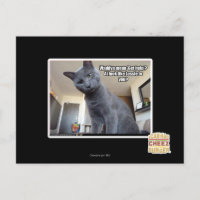 Wadya gemein 'Hilfe holen'?