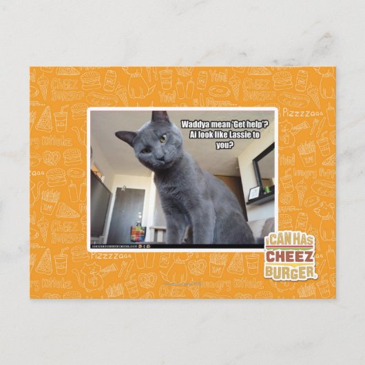 Wadya gemein 'Hilfe holen'? Postkarte (Vorderseite)