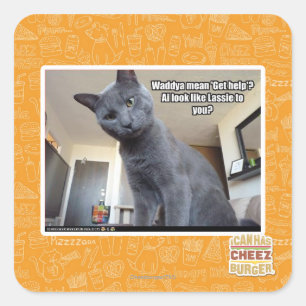 Wadya gemein 'Hilfe holen'? Quadratischer Aufkleber