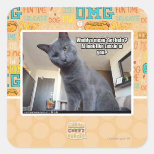 Wadya gemein 'Hilfe holen'? Quadratischer Aufkleber