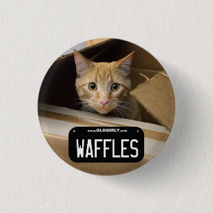Waffel-Miezekatze-Knopf Button