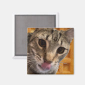 Waffelkatze Magnet (Vorderseite/Rückseite)