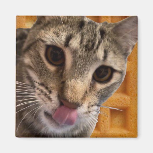 Waffelkatze Magnet (Vorne)