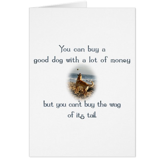 Wag of the Tail (Vorne)