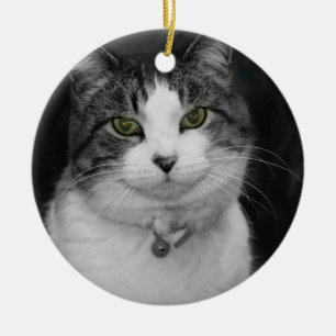 wagen Sie es, in meine grünen Augen zu schauen Keramikornament