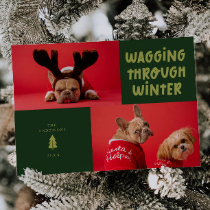 Wagenüberquerung durch das Winter Green Pet Foto Feiertagskarte