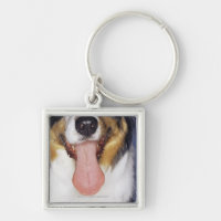 Wagging Zunge des Collien