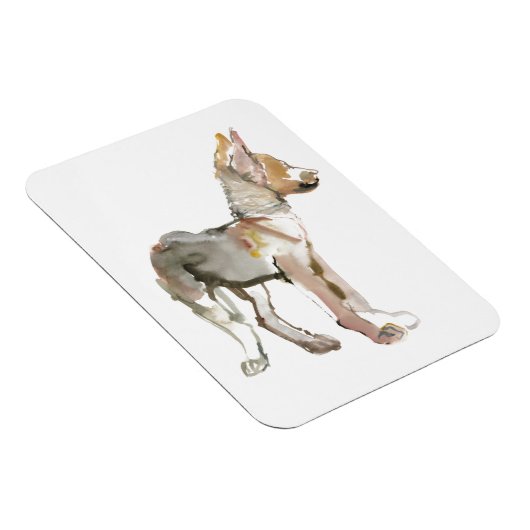 waggle magnet (Rechte Seite)