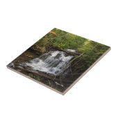 Wagner Falls Kachel (Seite)