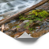 Wagner Falls, Michigan Poster (Ecke)