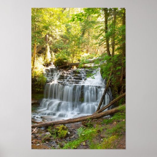 Wagner Falls, Michigan Poster (Vorne)