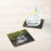 Wagner Falls paper Untersetzer (Vor Ort)