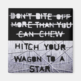 Wagon zu einem Sternmagneten Magnet