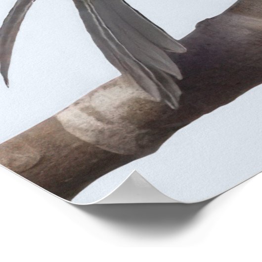 Wagtail Bird Poster (Ecke)