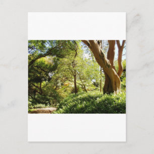 Wahiawa Botanischer Garten Postkarte