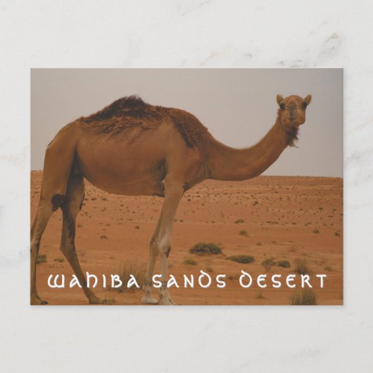 Wahiba sands wüste Postkarte (Vorderseite)