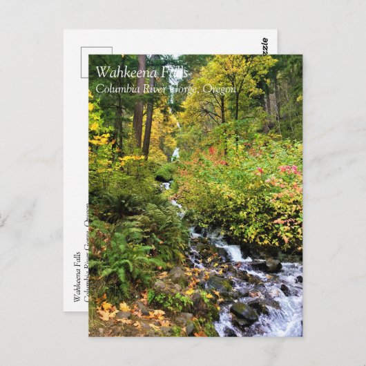 Wahkeena Falls, Columbia River Gorge, Oregon Postc Postkarte (Vorne/Hinten)
