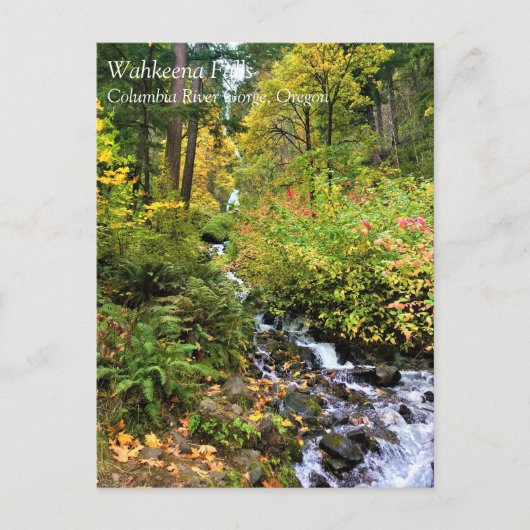 Wahkeena Falls, Columbia River Gorge, Oregon Postc Postkarte (Vorderseite)