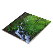 Wahkeena Falls, OR Fliese (Seite)