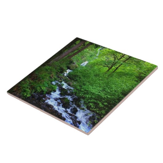 Wahkeena Falls, OR Fliese (Seite)