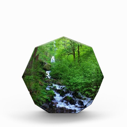 Wahkeena Falls, OR Fotoblock (Vorderseite)