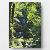 Wahkeena Falls, OR Fotoplatte (Vorderseite)