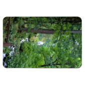 Wahkeena Falls, OR Magnet (Horizontal)