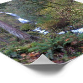 Wahkeena Falls, OR Poster (Ecke)