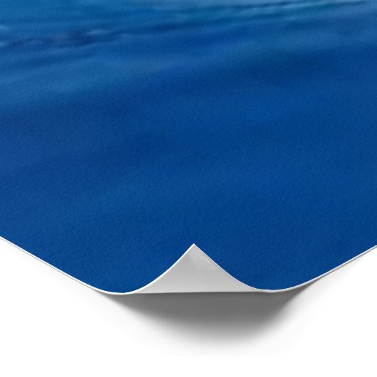 Wahl 2024 poster (Ecke)