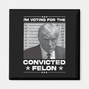 Wahlberechtigter Felon 2024 - Trump 2024 verurteil Magnet