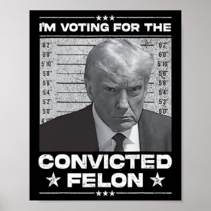 Wahlberechtigter Felon 2024 - Trump 2024 verurteil Poster