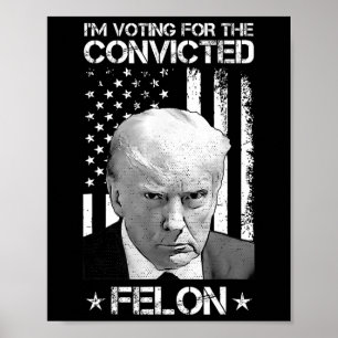 Wahlberechtigter Felon 2024 - Trump 2024 verurteil Poster