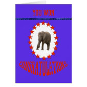 Wahlen gewinnen Herzlichen Glückwunsch an Elephant (Vorne)