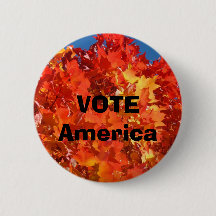 Wahlen in Amerika politische Sitte