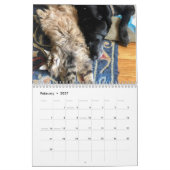 Wählen Sie den Maine-Münzkalender Kalender (Feb 2027)