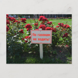 Wählen Sie nicht die Blume, St. Petersburg, Russla Postkarte