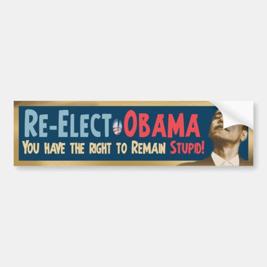 Wählen Sie Obama wieder, dumm! Autoaufkleber (Vorne)
