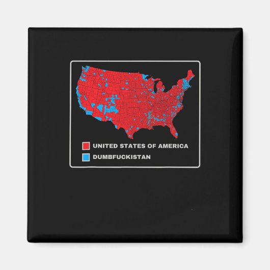 Wahlplan 2024 USA Dumbfor Magnet (Vorne)