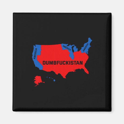 Wahlplan 2024 USA Dumbfor Magnet (Vorne)