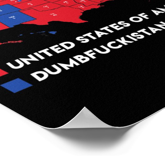 Wahlplan 2024 USA Dumbfor Poster (Ecke)