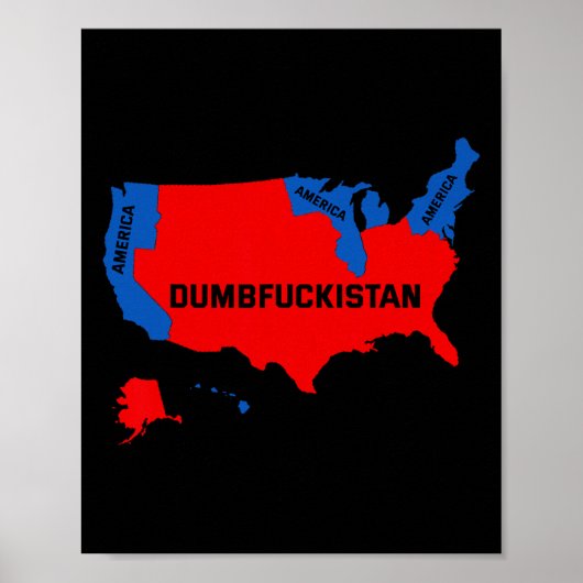Wahlplan 2024 USA Dumbfor Poster (Vorne)