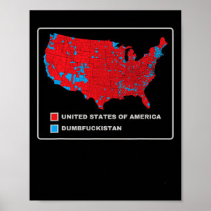 Wahlplan 2024 USA Dumbfor Poster